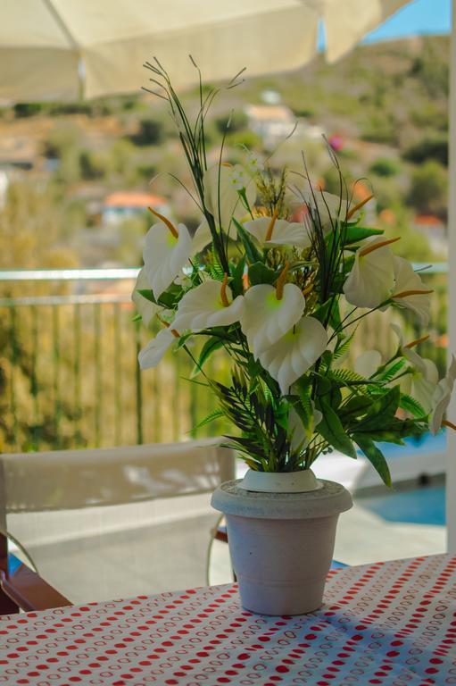 Dionos Villa Asos Dış mekan fotoğraf